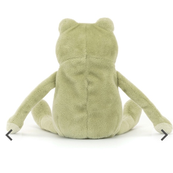BNWT JELLYCAT LITTLE FERGUS FROG - Picture 4 of 8